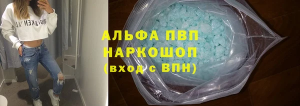 гидра Болохово