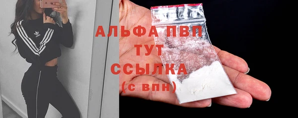 ECSTASY Пестово